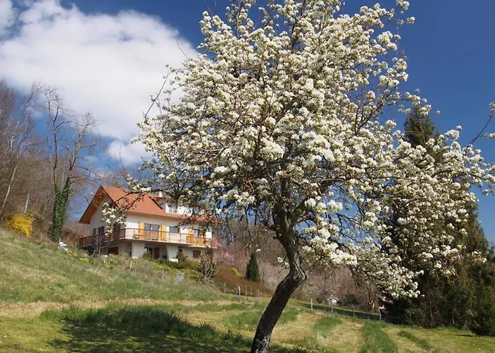 Le Merle Enchanteur