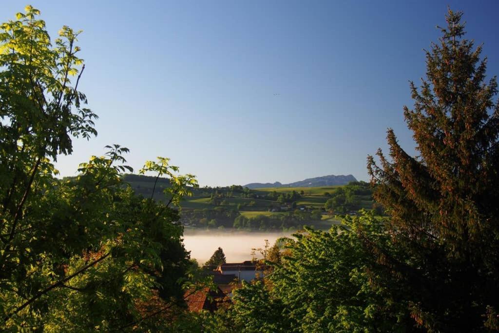 Le Merle Enchanteur Apartment Paladru